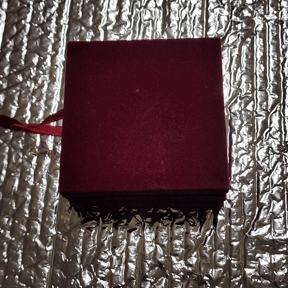 Pottery barn Velvet frame